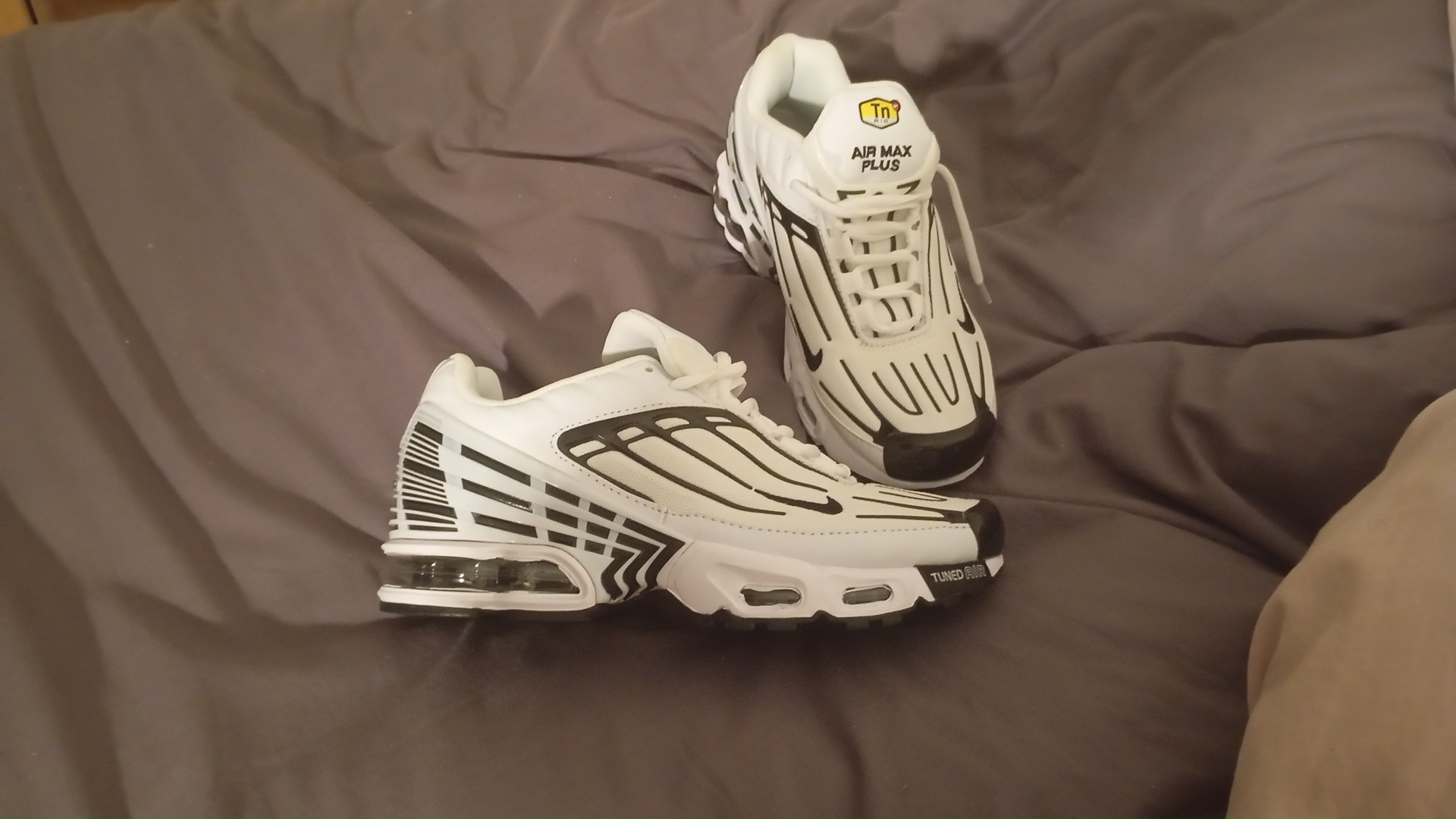 Tn1