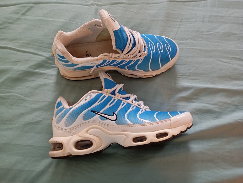 Tn3
